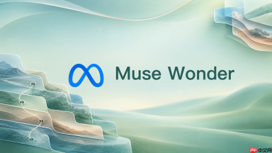 muse wonder怎么用python调用
