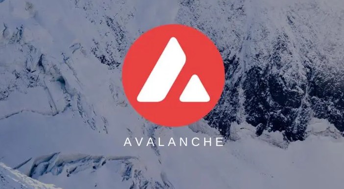 Avalanche钱包下载后怎么打开设置