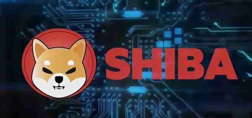 2024年柴犬币十大交易所推荐 - php中文网