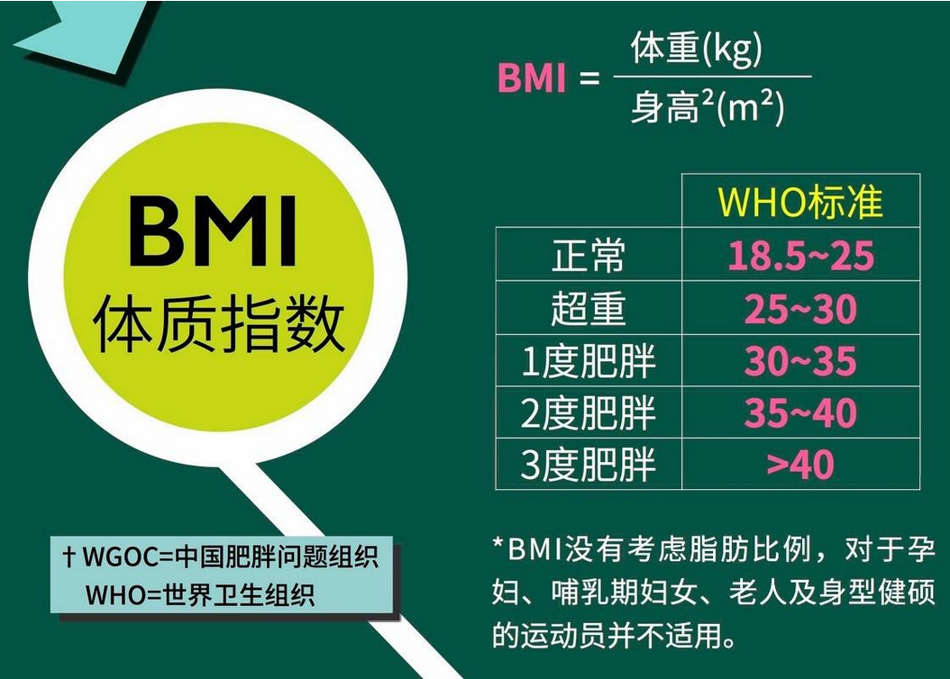 bmi体重指数怎么计算-bmi体重指数计算方法