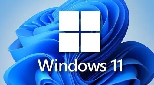 win11浏览器怎么长截图 win11浏览器长截图步骤