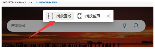 win11浏览器怎么长截图 win11浏览器长截图步骤