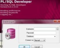 pl/sql developer中文乱码-pl/sql developer中文乱码的处理方法介绍