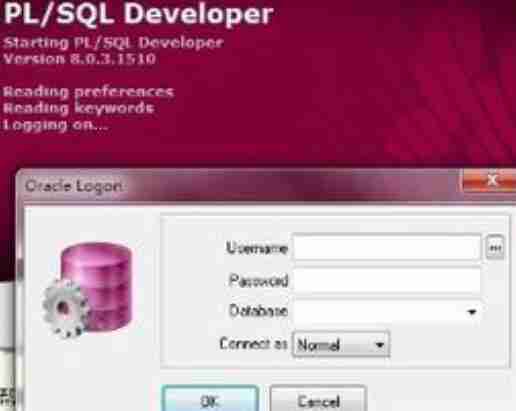 pl/sql developer中文乱码-pl/sql developer中文乱码的处理方法介绍