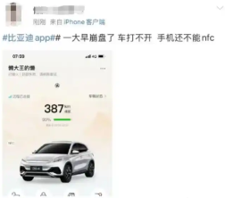 比亚迪王朝、海洋App疑似崩溃,多方回应