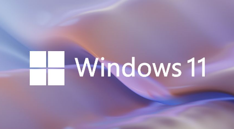 为什么win11分辨率和显示器不一样 win11分辨率不同于显示器解决步骤