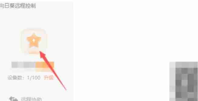 向日葵远程怎么设置语言-向日葵远程设置语言的方法