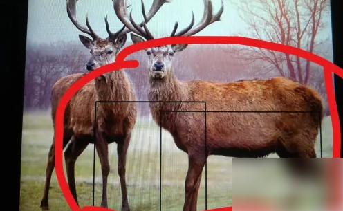 口语100怎么上传自定义头像 具体操作方法介绍