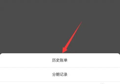 平安消费金融小橙花怎么查询账单 平安消费金融查看历史账单方法