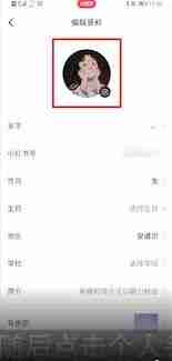 小红书专业号认证怎么更换头像-小红书专业号如何修改头像