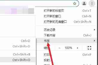 Google浏览器怎么导出书签-Google浏览器导出书签的方法