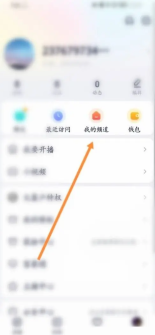 YY怎么退出频道 歪歪语音聊天怎么取消