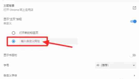 Google浏览器怎么设置主页-Google浏览器设置主页的方法