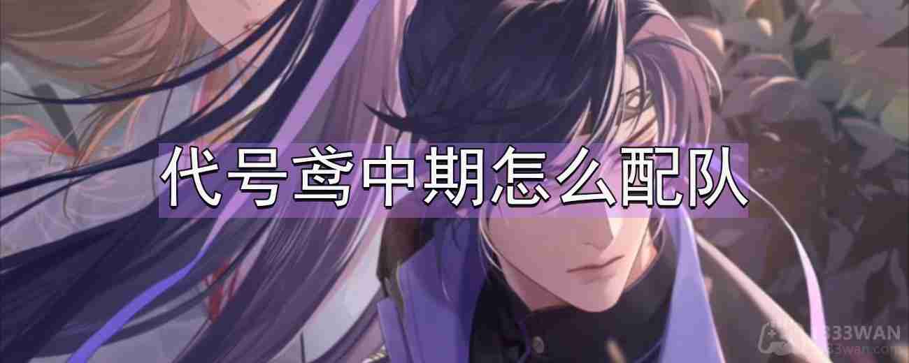 代号鸢中期怎么配队-中期过渡配队推荐