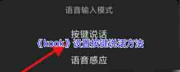 kook如何配置按键发言功能-kook设置键盘语音快捷键的方法