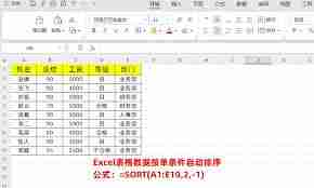 Excel自动排序函数怎么用-掌握Excel排序公式使用教程