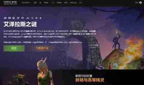 乌龟服是什么意思