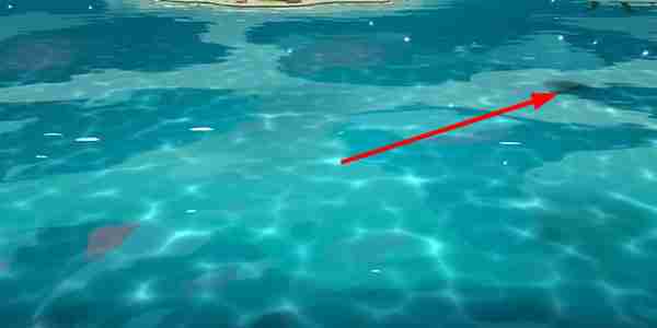 《猫咪斗恶龙3》传家宝任务玩法-猫咪斗恶龙3攻略