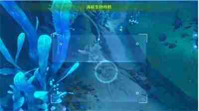 《原神》水下沉落物位置在哪-原神攻略