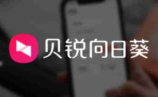 向日葵远程怎么设置固定验证码？-向日葵远程设置固定验证码的方法