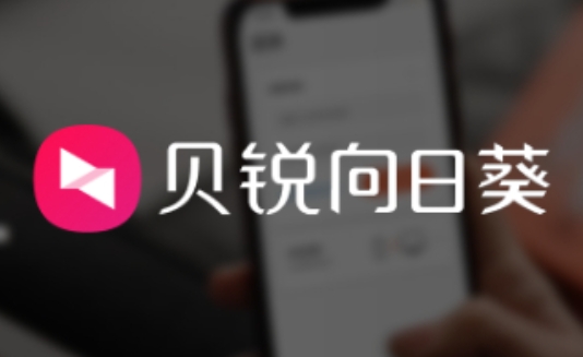 向日葵远程怎么设置不用输验证码？-向日葵远程设置不用输验证码的方法？