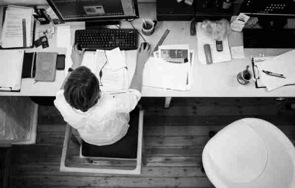 悬赏猫做任务技巧有哪些 悬赏猫如何快速完成任务