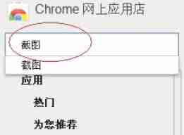 Google浏览器怎么截图-Google浏览器截图的方法