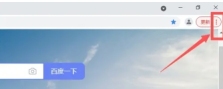Google浏览器怎么设置中文-Google浏览器设置中文的方法