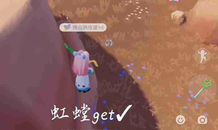 心动小镇如何捕虫-心动小镇捕虫攻略