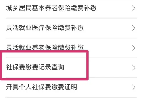 郑好办缴费记录怎么查 郑好办APP查询社保缴费记录方法