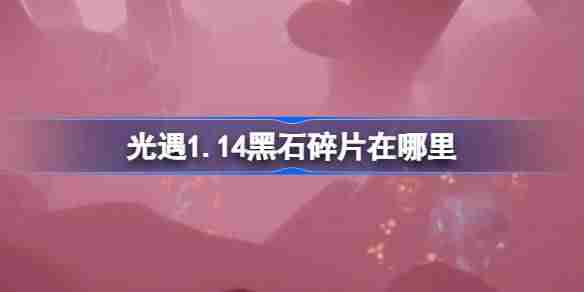 光遇1.14黑石碎片在哪里-光遇1月14日黑石碎片位置攻略