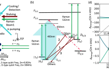 清华大学研究组首次在双重编码量子比特之间实现高保真度量子纠缠门