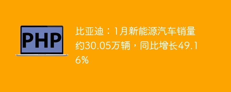比亚迪:1月新能源汽车销量约30.05万辆,同比增长49.16%