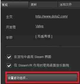 dota2国服启动项没用 dota2国服启动项操作说明
