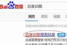 怎么看百度识图的功能记录-了解百度识图功能记录查看方法