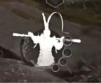 黑神话悟空怎么进真大圣模式 黑神话悟空进真大圣模式方法