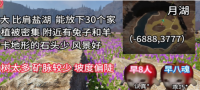 七日世界雪国人生适合搬家的地方有哪些 七日世界雪国人生适合搬家的地方