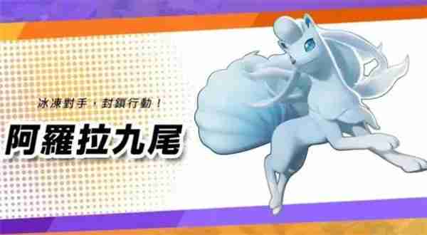 宝可梦大集结新手阵容推荐 宝可梦大集结新手攻略