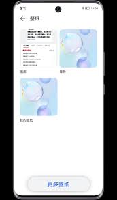 荣耀手机锁屏壁纸怎么设置自己的图片-荣耀手机锁屏壁纸设置自己的图片教程