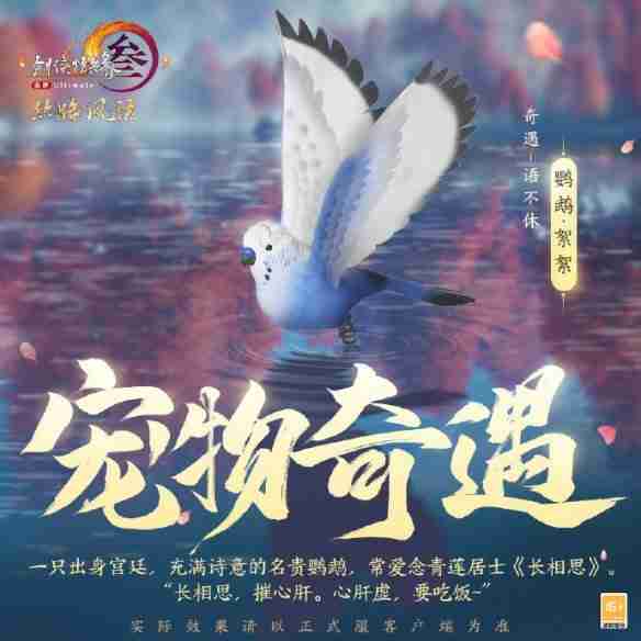 剑网3丝路风语新增哪些宠物奇遇 丝路风语新增宠物奇遇一览