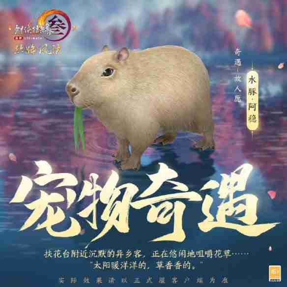 剑网3丝路风语新增哪些宠物奇遇 丝路风语新增宠物奇遇一览