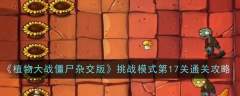 植物大战僵尸杂交版挑战模式第十七关怎么过-第17关通关攻略