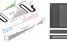 中国科学院科研人员研制出超导双光子空间符合计数器