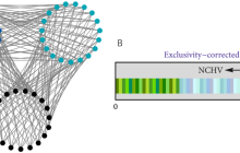 我国科学家观测到最强逻辑形式量子关联
