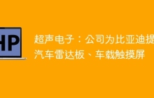 超声电子：公司为比亚迪提供汽车雷达板、车载触摸屏