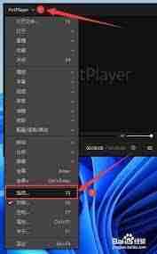PotPlayer如何设置启用触摸功能-PotPlayer设置允许触摸操作的方法