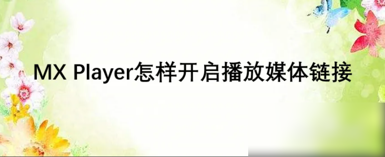 mx播放器如何添加本地文件 MX Player怎样开启播放媒体链接