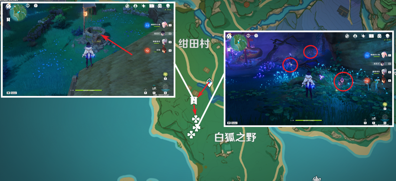 《原神》鸣草收集方法及详细路线分享