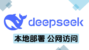 DeepSeek本地部署教程-如何在本地部署DeepSeek视频演示