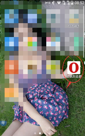 欧朋浏览器如何添加书签 欧朋浏览器添加书签方法